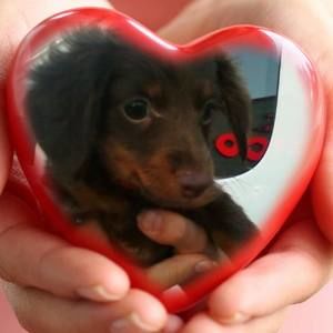 Meet your Posher, Sharon